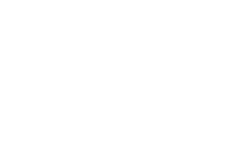 Flint media logo